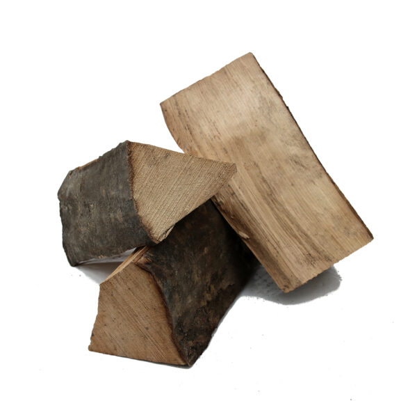 weissbuche3