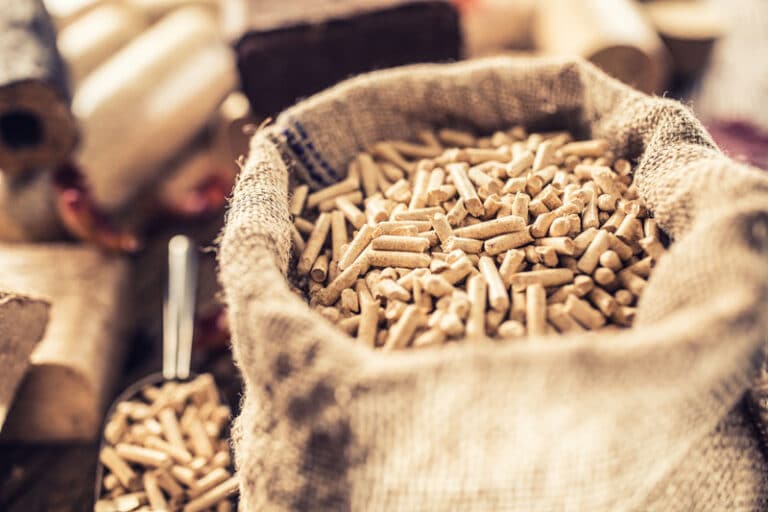 Welche Pellets sind die besten? Ein umfassender Überblick